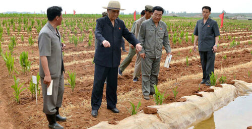 North Korean media claims victory in “life-and-death war” against drought