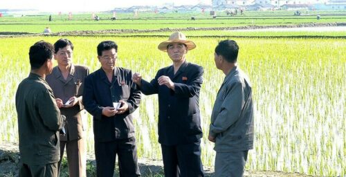 North Korean Premier admits to failures in country’s agricultural sector