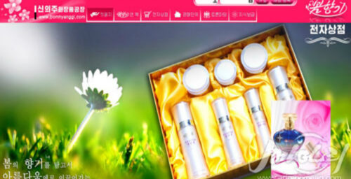 Top North Korean cosmetics brand launches new online shop