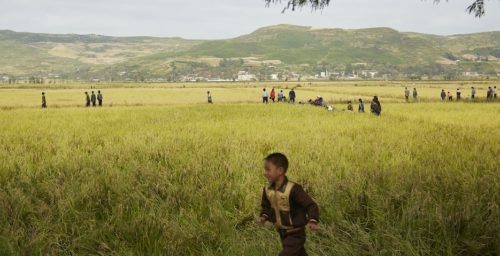 U.S. NGO wins sanctions exemption for North Korea agricultural projects