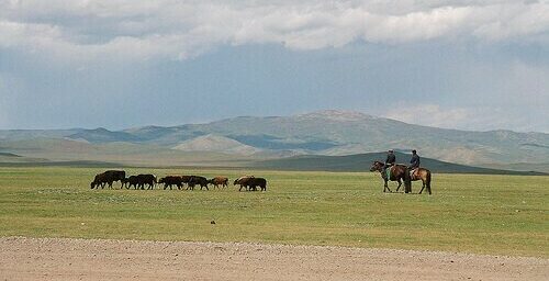 N. Korea looking to import meat from Mongolia