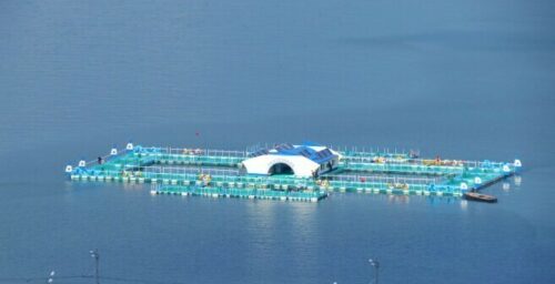 Kim Jong Un visits mobile, solar powered, floating fish farm