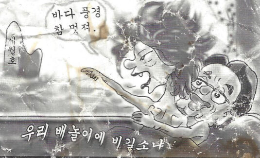 N Korean Leaflets With Sexually Explicit Cartoons Of Park