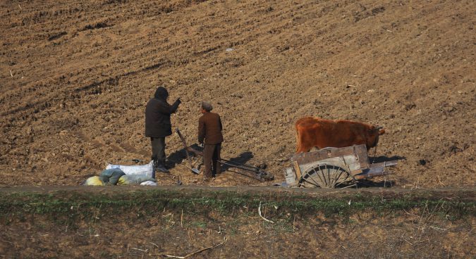 How N. Korean literature offers hints at major agricultural reforms ...