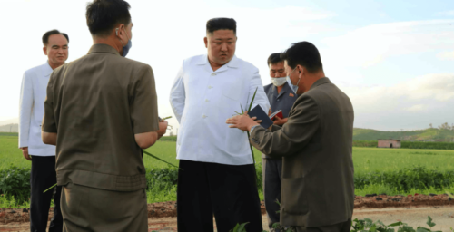 Kim Jong Un relieved by absence of major typhoon damage, inspection visit shows