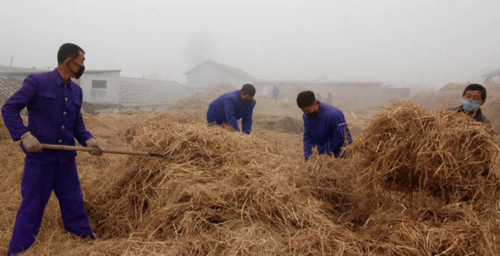 ‘Abnormal climatic phenomenon’ hits Pyongyang: North Korean media