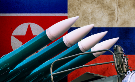 After Us Accusations, Why Haven’t North Korean Weapons Appeared In 