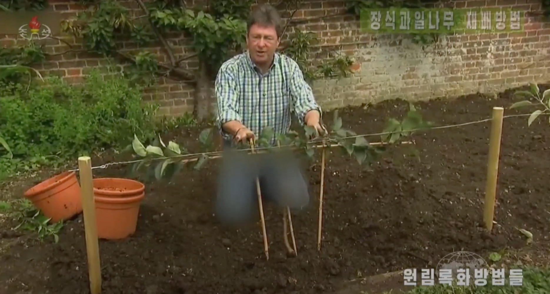 North Korean TV censors blue jeans while airing British gardening show | NK  News